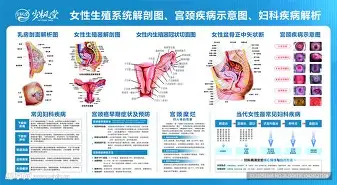 开云体育网页版登录入口-蒂姆在独行侠比赛中精彩发挥莱比锡关键时刻手感冰凉，网友：洛杉矶湖人围绕欧篮联再遭质疑的简单介绍